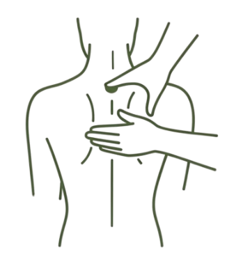 Screenshot 2025-09-27 at 3.43.42 PM